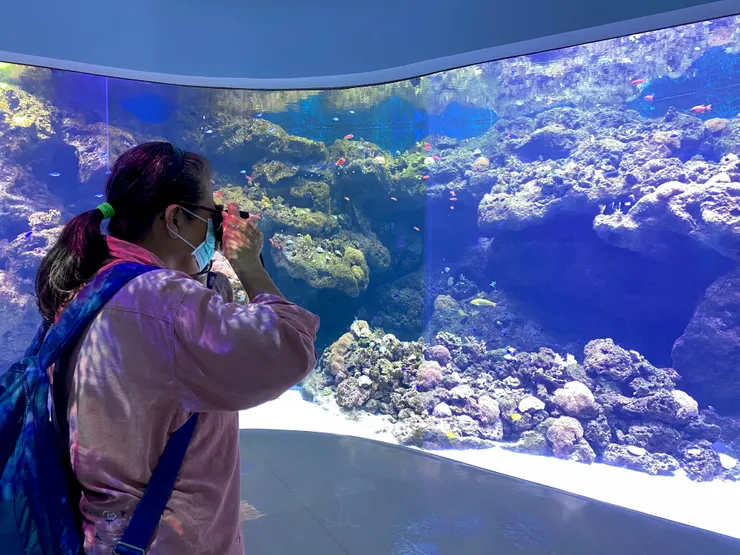 五張底片的時間