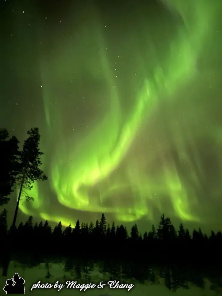 森林與極光的對話 在雪地的盡頭，是一整排靜靜佇立的樹；在樹上方，是一整片跳耀的光。極光像一條彩色的絲帶，飄過森林之上，像在天空跳著慢舞。