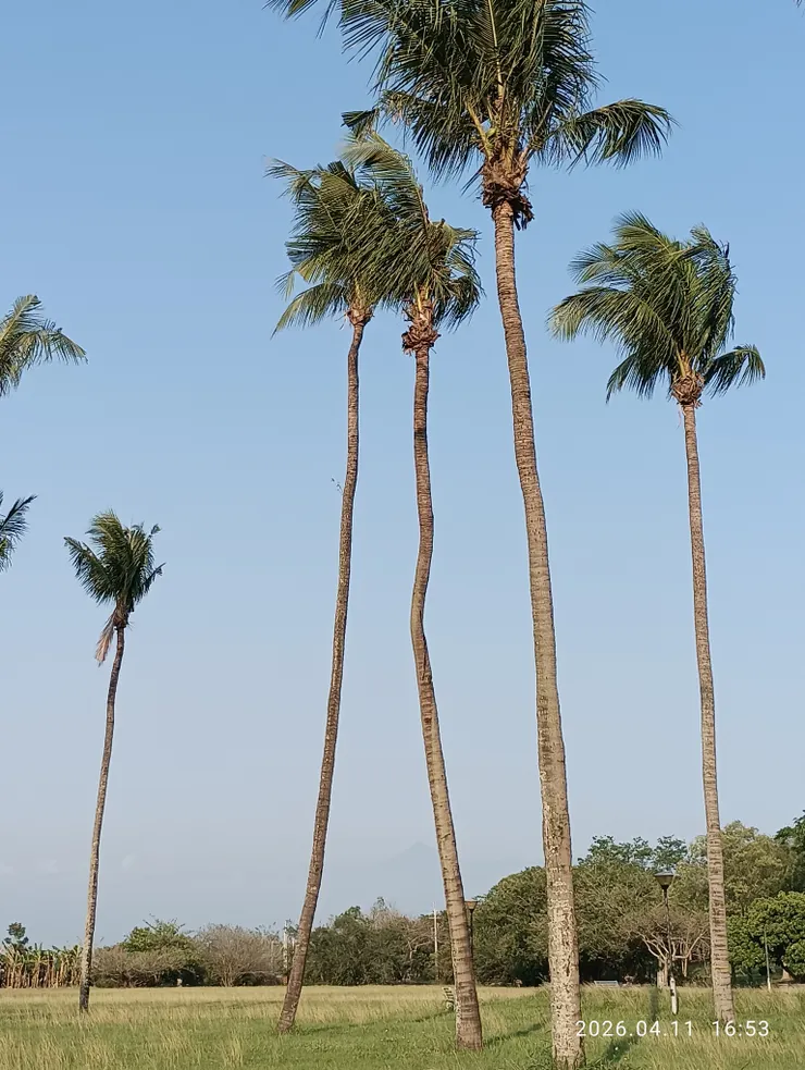 清空舒卷雲俊遊，皆自拍攝