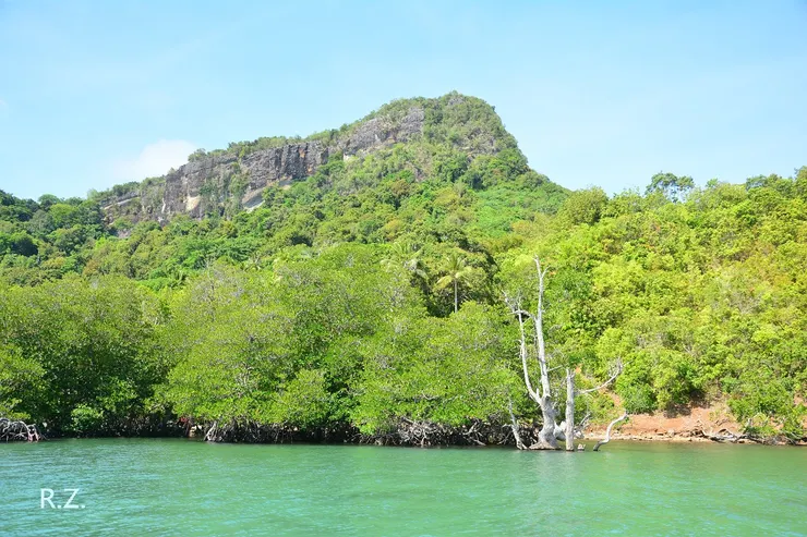 珍珠島的一部分景觀  ([陳傳義]拍攝)