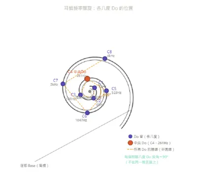 耳蝸的音律螺旋頻率音階分佈。