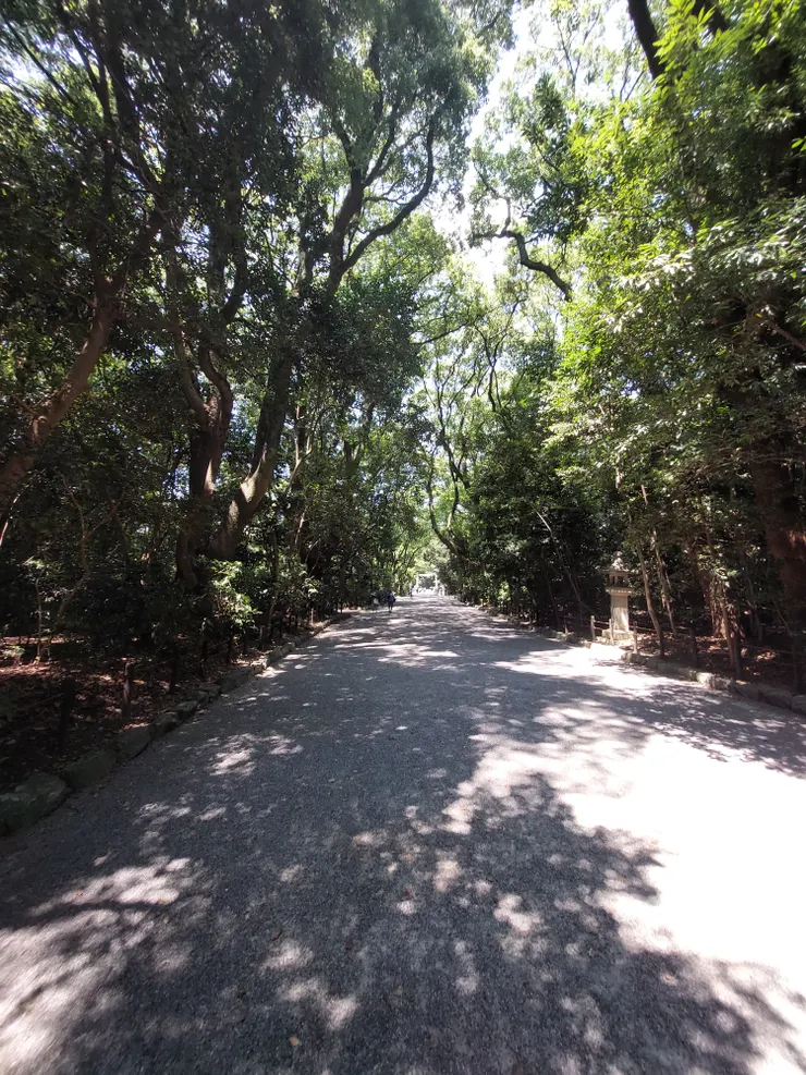 前往主要神宮的道路被參天巨木環繞起來，走起來十分涼爽