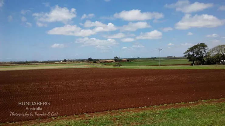Shopping day 採買路上的廣大農場