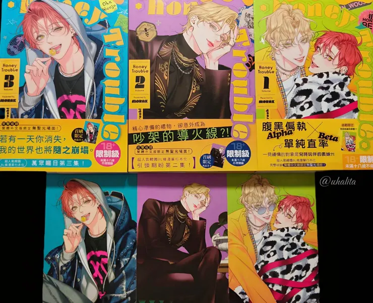 《Honey Trouble》1–3 集實體書心得