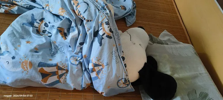 睡眠中的史努比