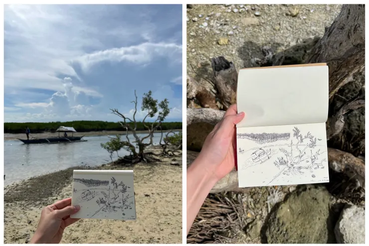 我的寫生小作品