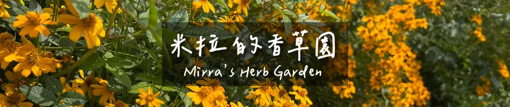 Mirra's Herb Garden 米拉的香草園