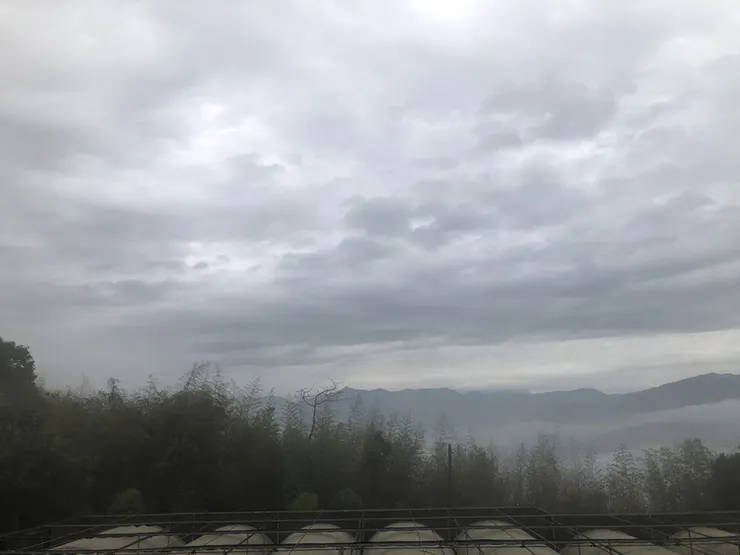 濃霧_初日民宿旁山坡