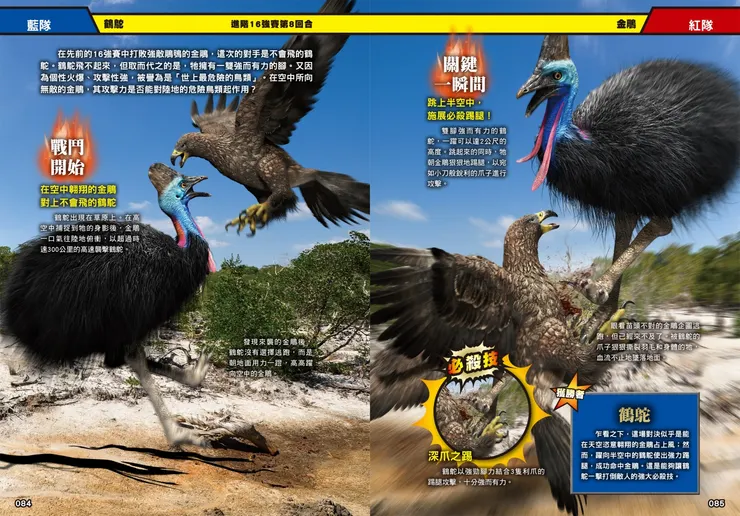 天空霸主金雕對上陸地強者鶴鴕｜《最強戰鬥１：超危險生物大戰圖鑑》｜小角落文化出版