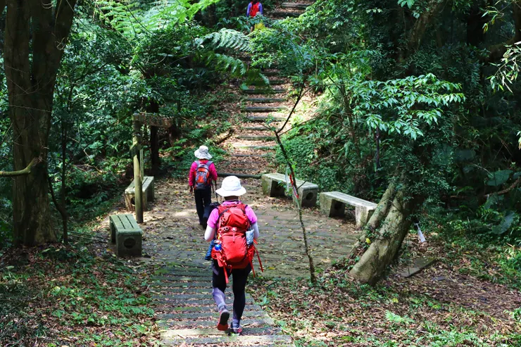 ▲出關古道十分崠段大多穿梭在鬱鬱蔥蔥的森林裡，是非常涼爽的健行路線。