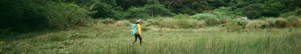 好奇天線的沙龍