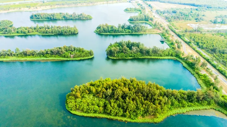 雲嘉南管理處2023年百大綠色目的地「與水共舞-颱風過後重現的濕地與治水」口湖滯洪池