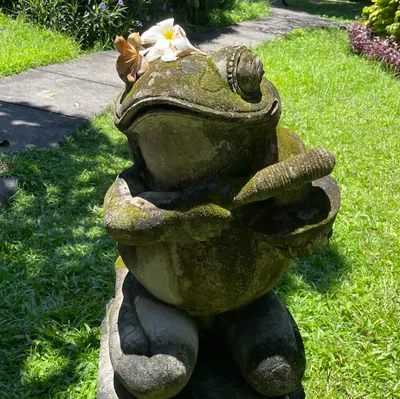 呱呱的呢喃沙龍