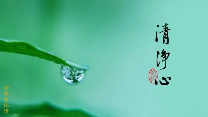 清淨心就是禮敬，不在形式。