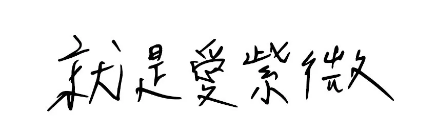 就是愛紫微