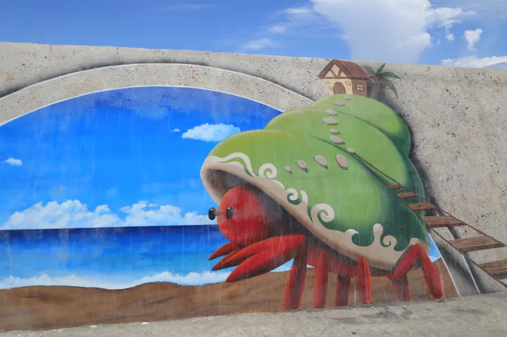 你阿嬤養出來的巨大寄居蟹