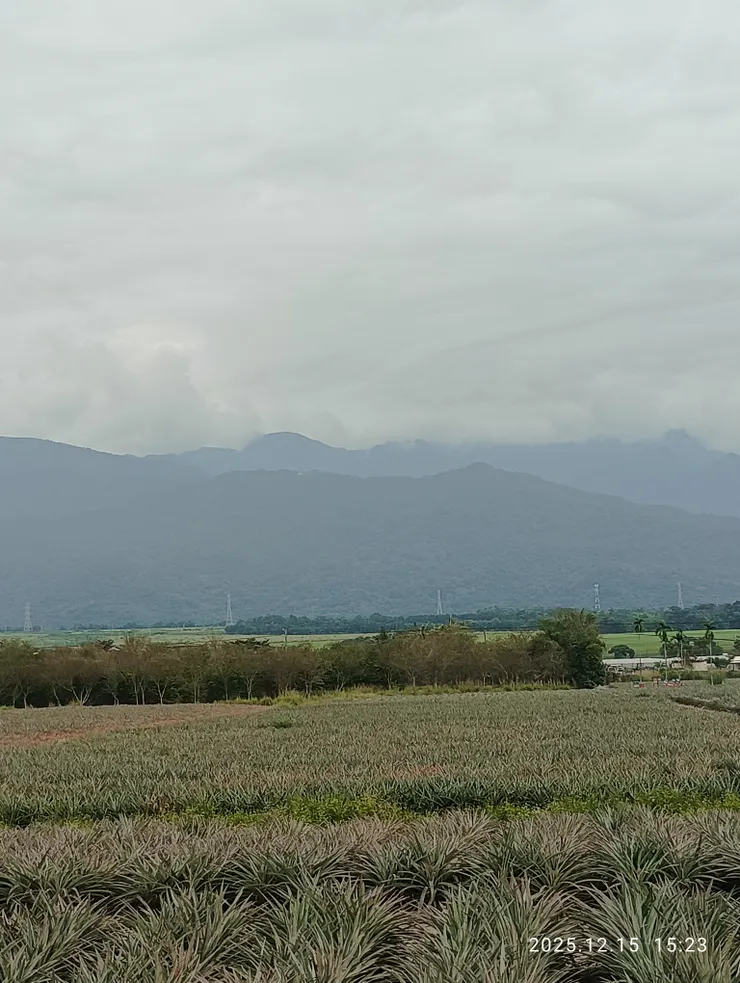 欲與眉黛攜素手