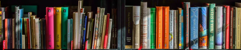 N倍自我成長專區