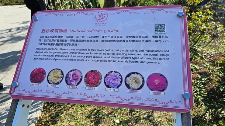 臺北玫瑰園的玫瑰花介紹!