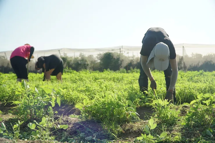 圖說：不只對毛孩好，更對環境友善！倍力低敏飼料從源頭把關，使用有機蔬果與有機雞蛋，將這份純粹製成毛孩的每一餐。（資料來源：倍力寵物健康食品）