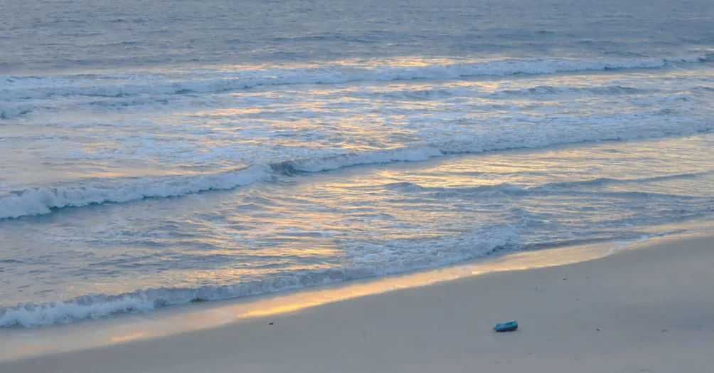 坐不住的大学生