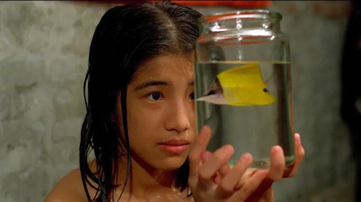 繽紛的熱帶魚,承載小人物的夢想(圖片取自金馬影展官網)