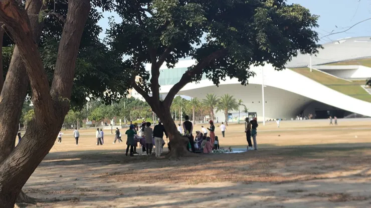 戶外教學的小孩在玩躲避球，其他來公園散步的一群一群的在陰影下。他們感覺很開心
