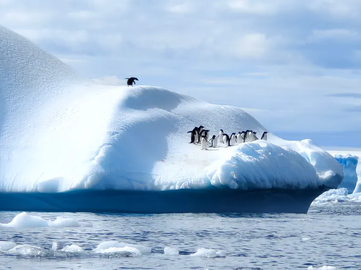 別怕，快下來，我們要跳海了！