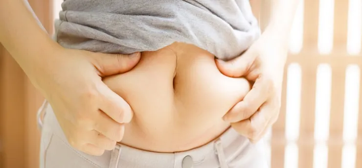 荷爾蒙敏感脂肪酶能燃燒脂肪