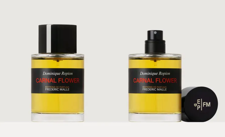 Carnel Flower正裝 ( 圖片來源 : FM官網 )