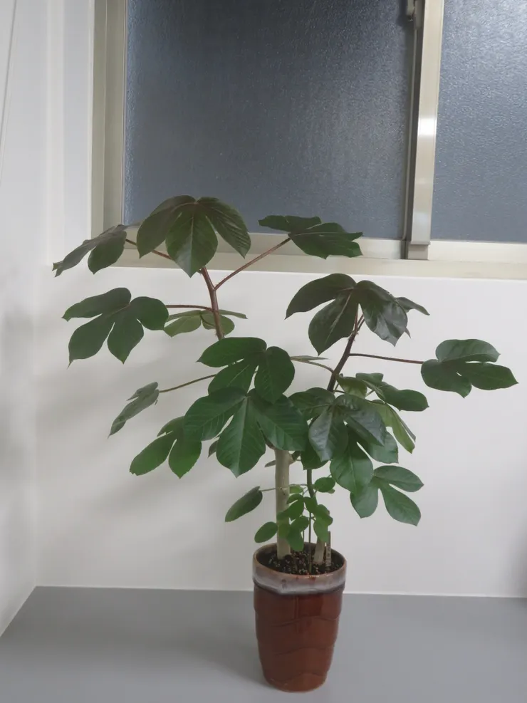 中山社大113.05.23