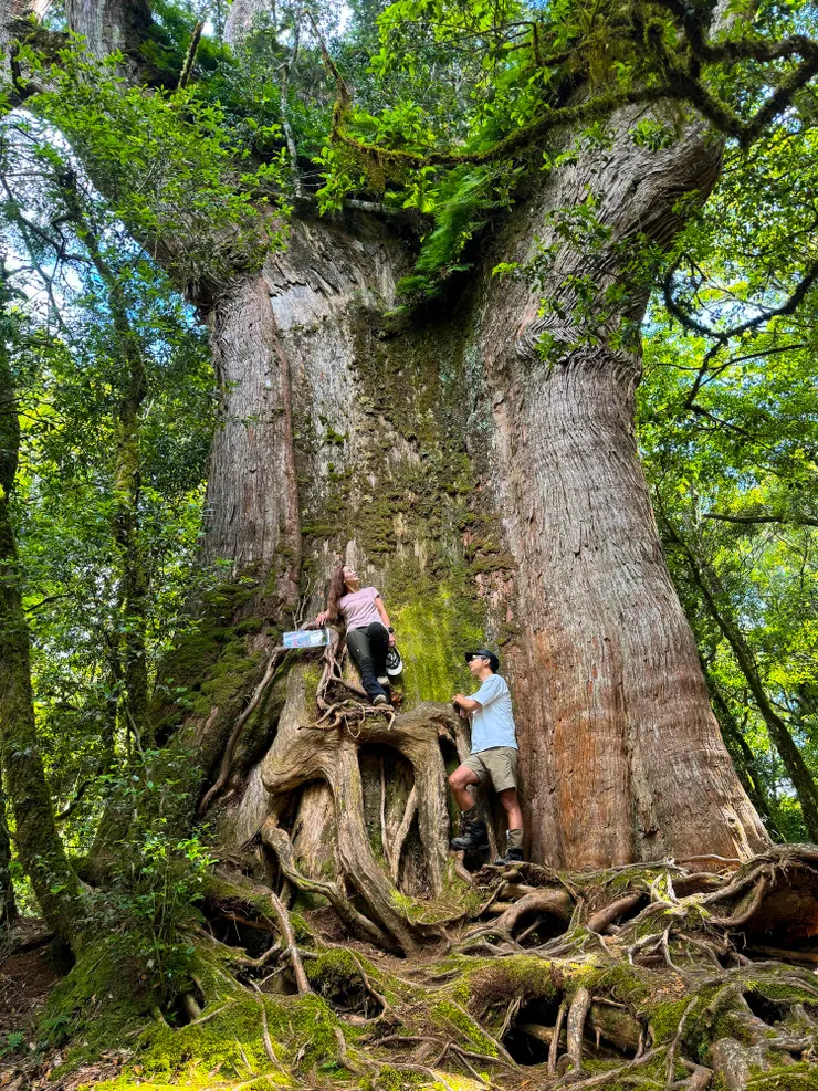 走到這裡表示快要下山了！開心