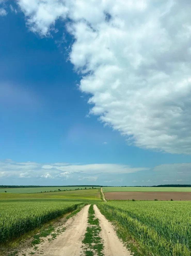 遠方開展,與自己相遇