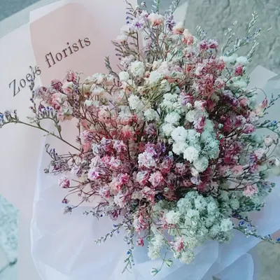 札記_致那逝去之人