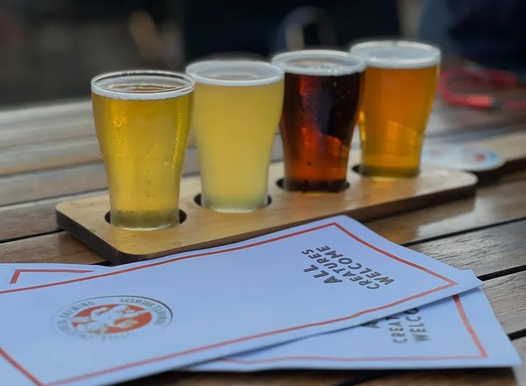 一人四杯啤酒，好過癮