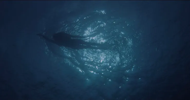 聲音與恐懼(情緒被設計的瞬間)