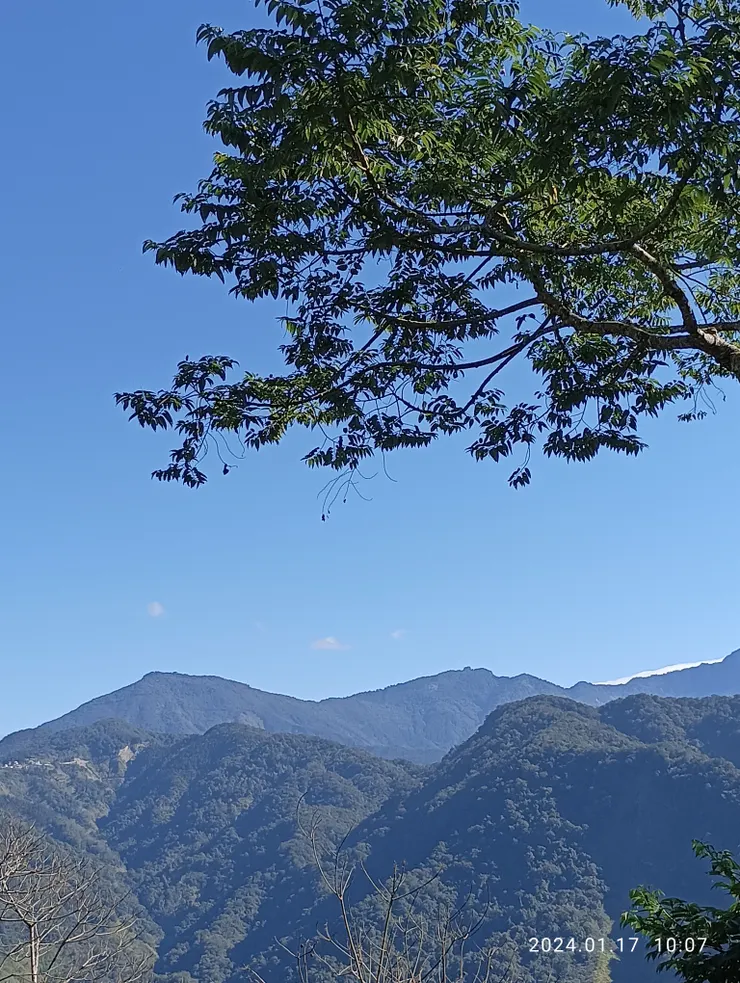 單騎機車一路上二集賞櫻花的山景，真也“綠連天碧”