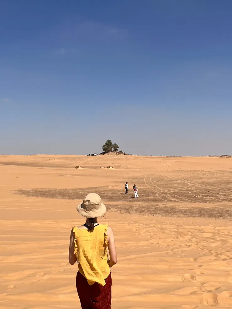 撒哈拉沙漠裏的小綠洲