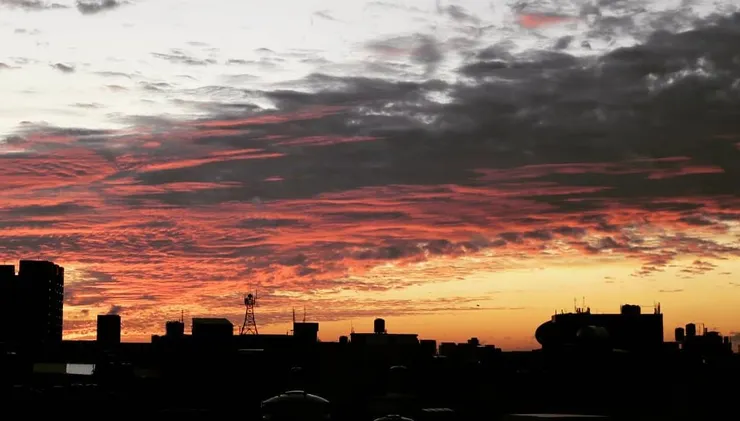 原圖未修｜庇蔭—Canon750D