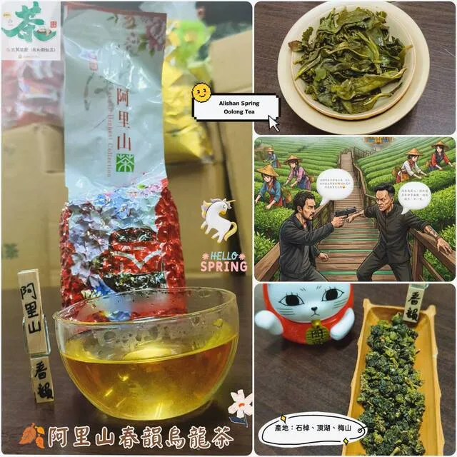 🫎阿里山春韻烏龍茶   ⛰️ 石棹、梅山、頂湖