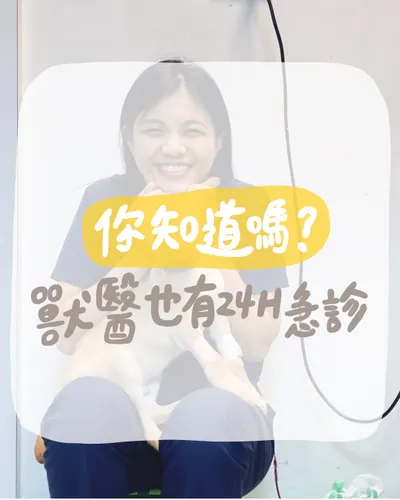 你知道嗎？獸醫也有24H急診