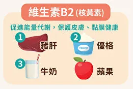 核黃素（B2）：閃亮之星的守護者(從這些食物中可以攝取到!!!)