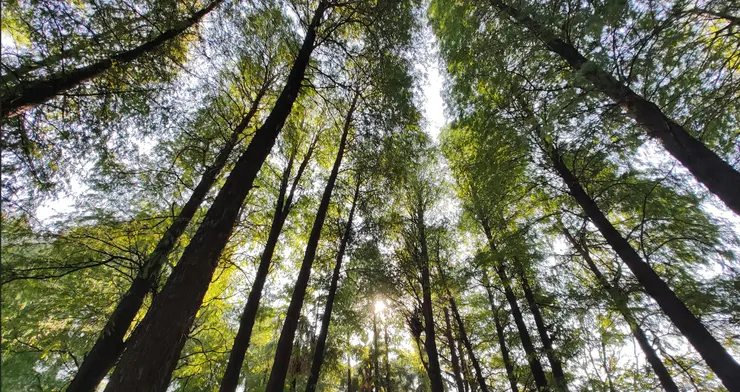 廣州市流花湖自拍