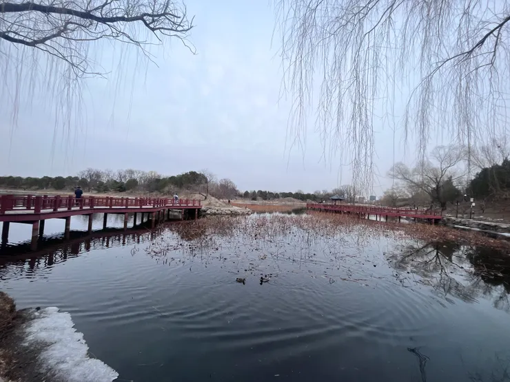 些許浮冰，氣氛跟一般皇家園林不同