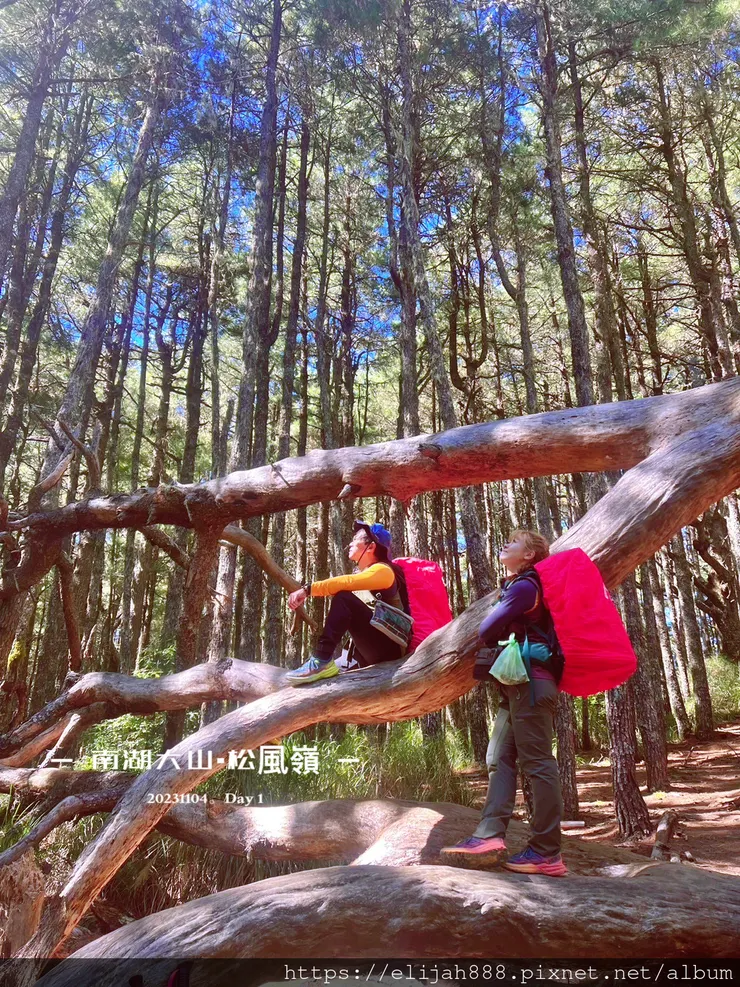 【帝王之山4天3夜】南湖大山之勝光山/多加屯前鋒/客滿的雲稜