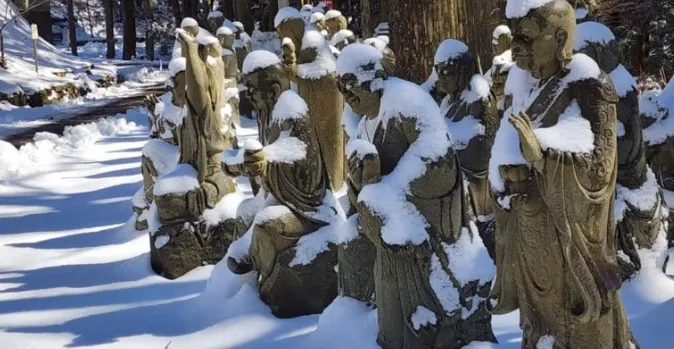 積雪覆蓋的四國遍路石佛群,冬季陽光下靜立於樹林間