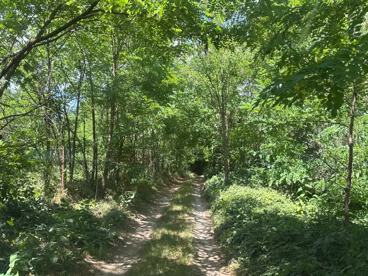 雖然是坑巴路段，但旅程後面還有更糟的