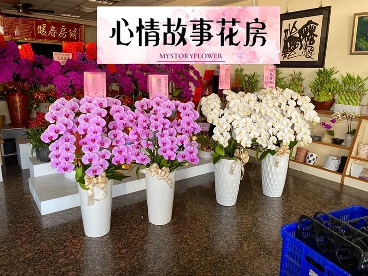 #台南花店 #鮮花 #蘭花 #玫瑰花 #永生花 #多肉植物 #盆栽 #花束 #花籃 #心情故事花房 