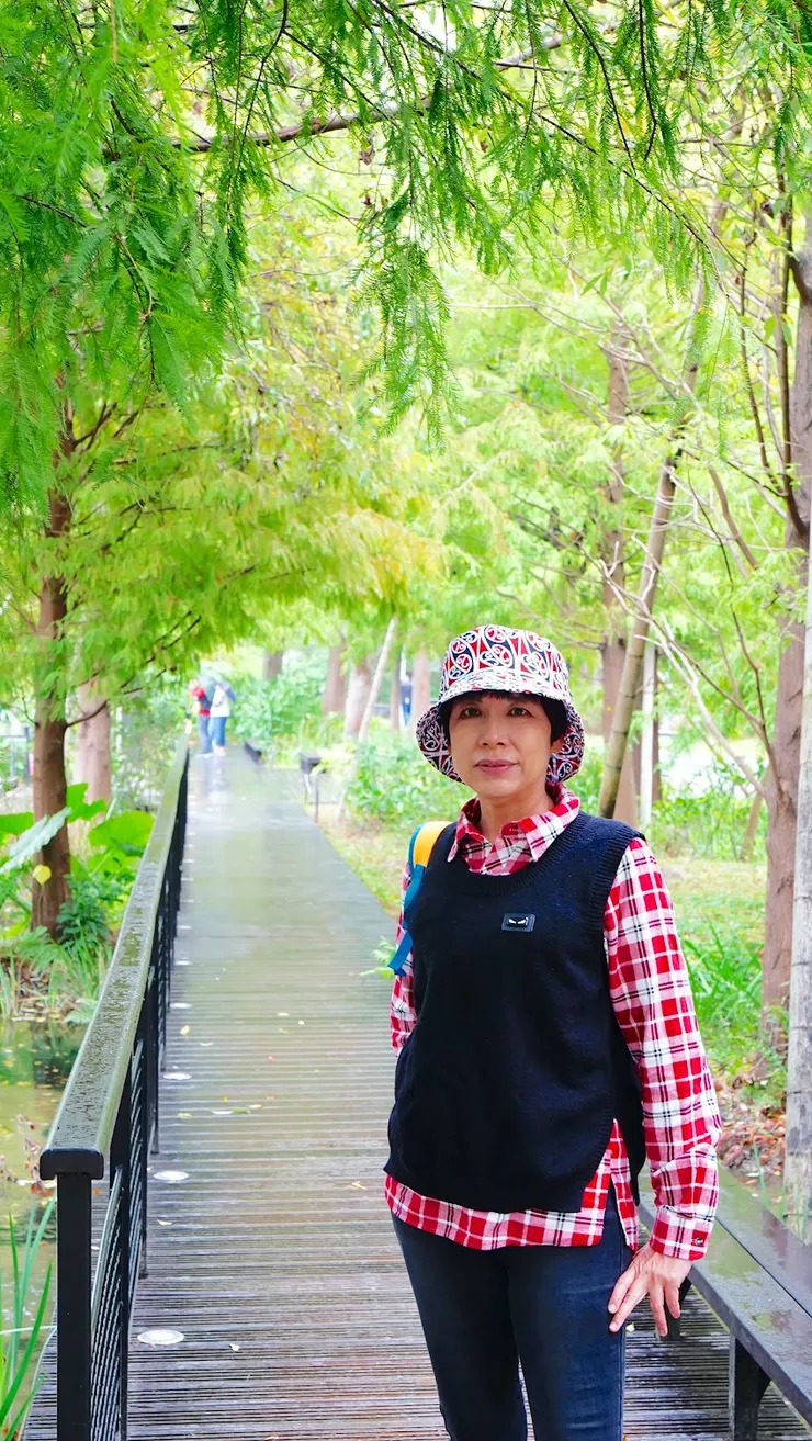 森林中的棧道很有詩意