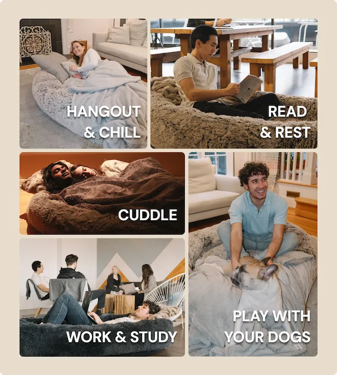 Source : Plufl 眾籌平台